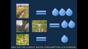Figure 3-The students proved that drip irrigation conserves the most amount of water as opposed to furrow, spray, or sprinkler irrigation