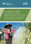 Groundwater for irrigation in LAO PDR